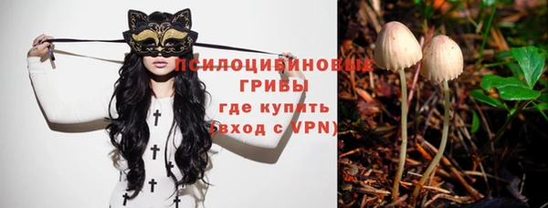 молекула духа Бугульма