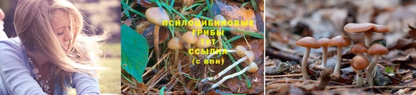 молекула духа Бугульма