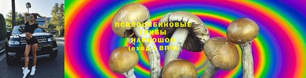 apvp Верхний Тагил