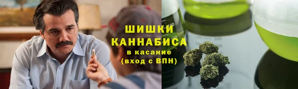 молекула духа Бугульма