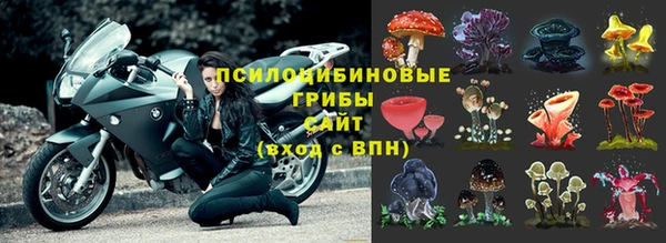 молекула духа Бугульма