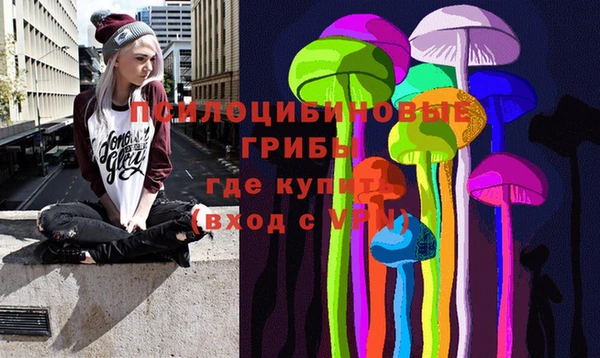 прущая мука Бронницы