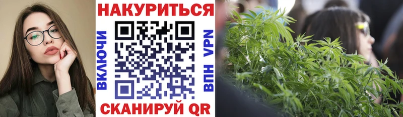 Купить закладки  Шатура  Канабис индика 